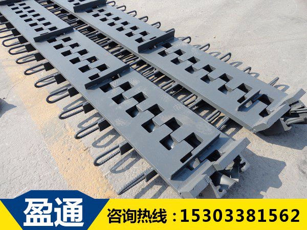 涪陵SSF橋梁伸縮裝置