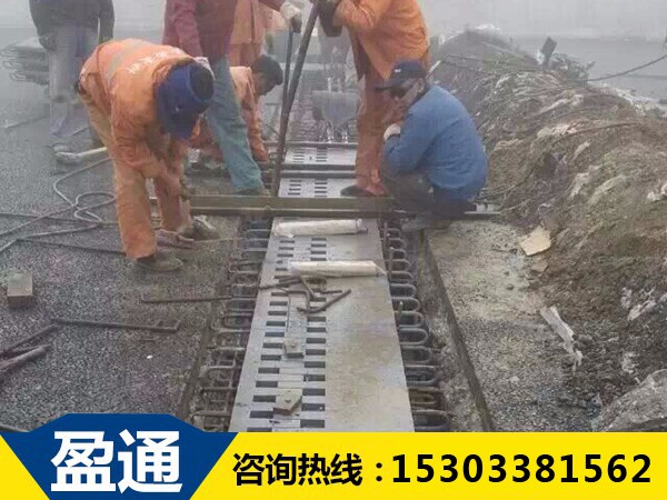 涪陵SF梳齒板式伸縮裝置