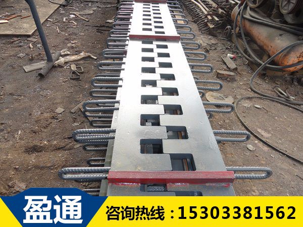 涪陵SSF橋梁伸縮裝置