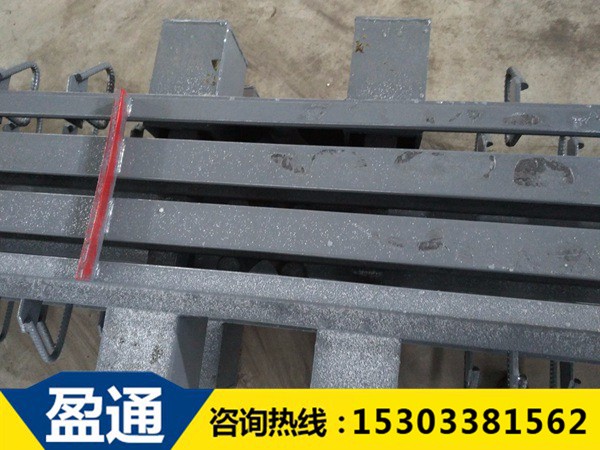 涪陵模數(shù)式橋梁伸縮縫-MZL-240
