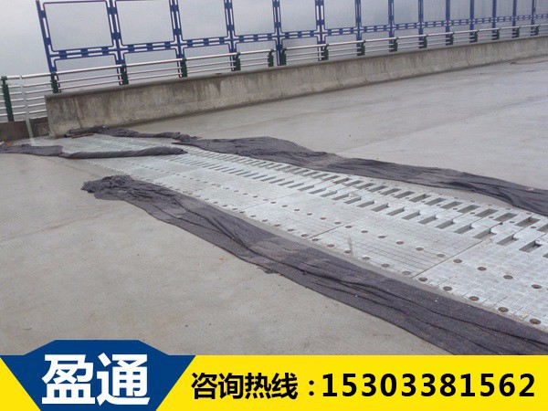 梳齒板式橋梁伸縮縫養護 梳齒板式橋梁伸縮縫養護